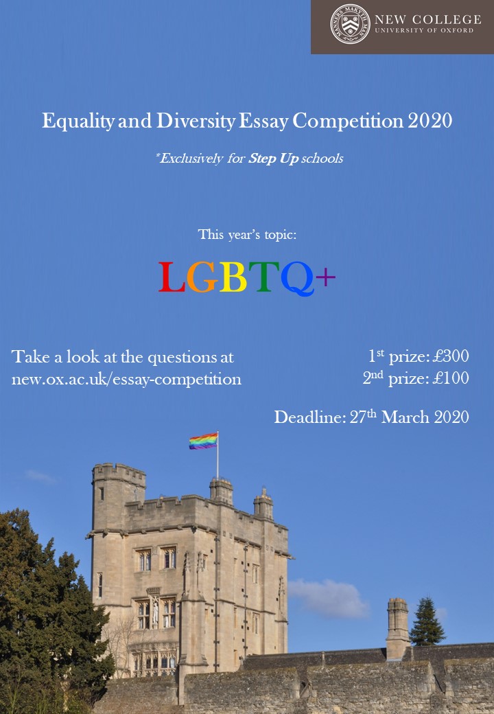 new college equality and diversity essay competition